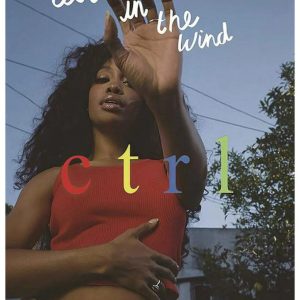 sza like cloves in the wind poster